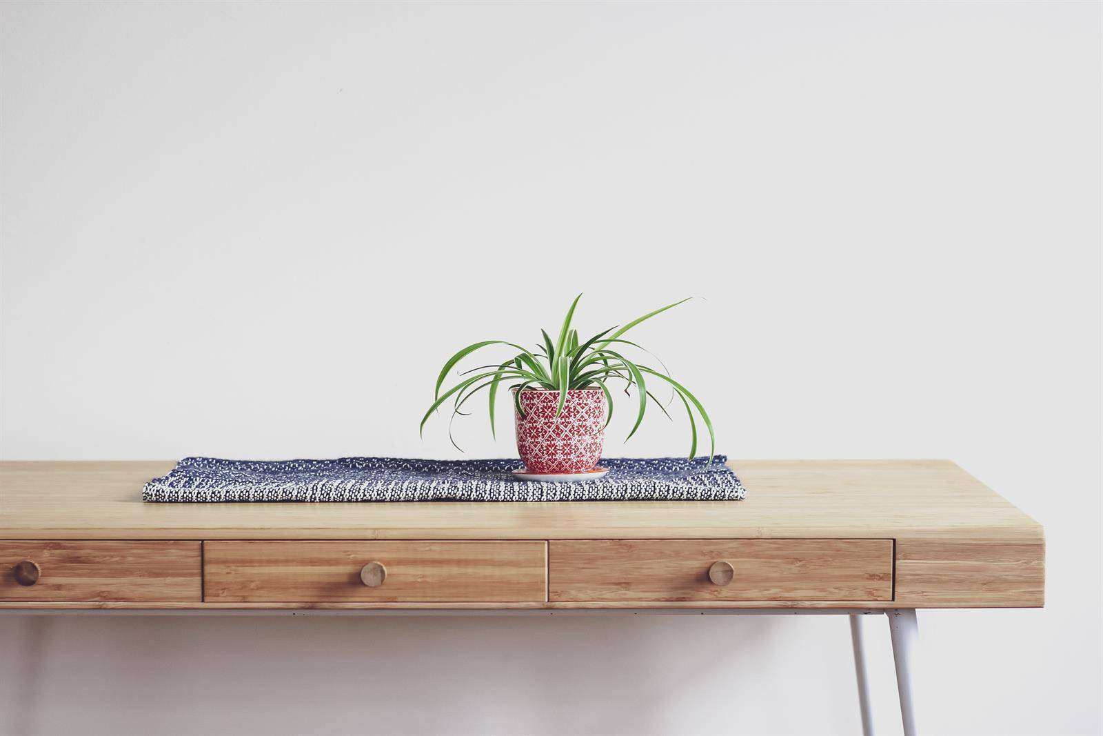 Home | Bo Creator